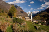 20071106_151526 Vigne presso Loreto.jpg